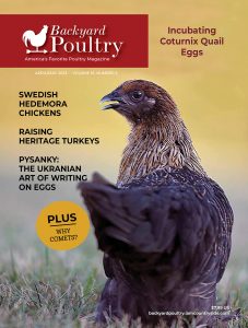 Backyard Poultry 